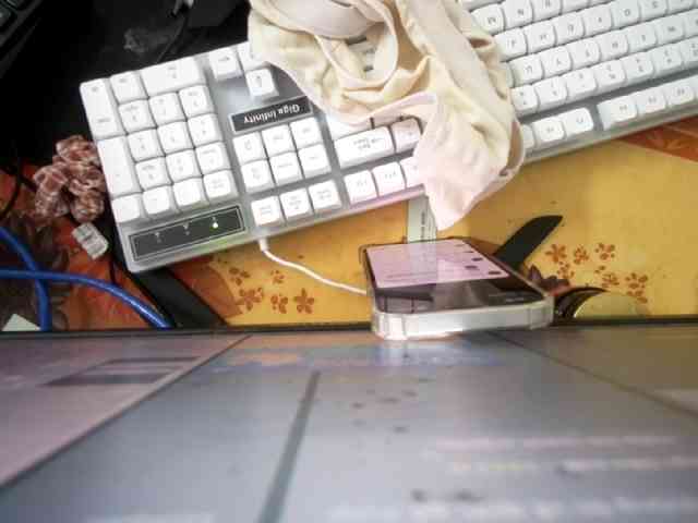 Siam-sexyy webcam