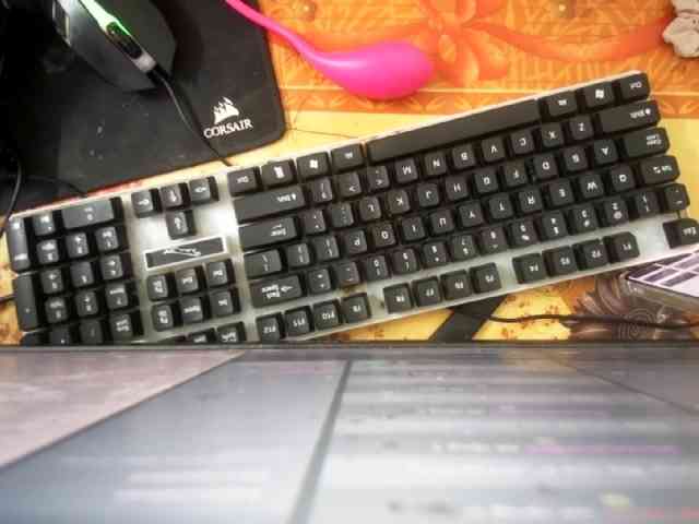 Siam-sexyy webcam