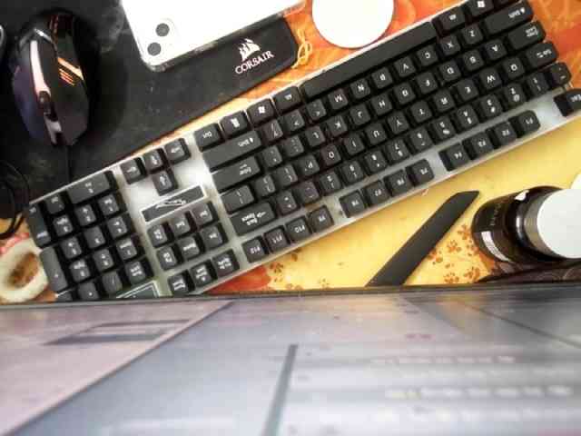 Siam-sexyy webcam