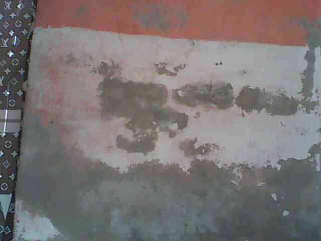 Modèle: Angiecroft