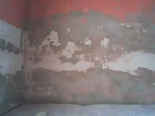 Angiecroft18