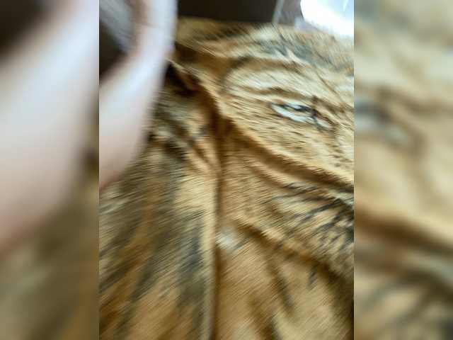 go to chat with Milfaru