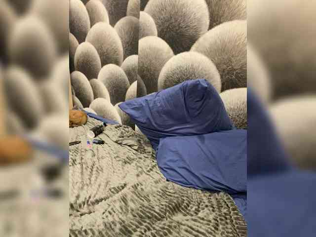 Milfaru webcam