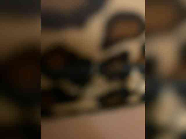 Milfaru webcam