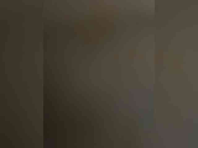 Milfaru webcam