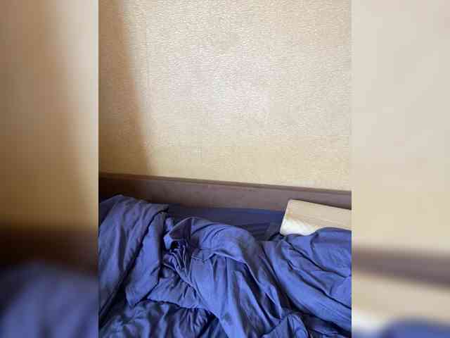 Milfaru webcam