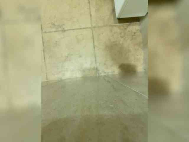 Milfaru webcam