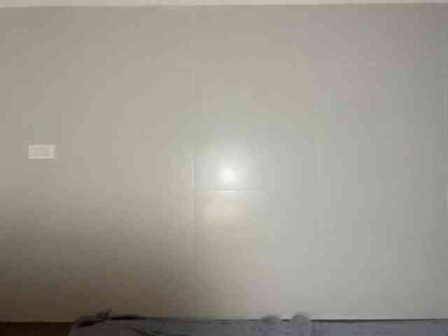 GertudeLagman webcam