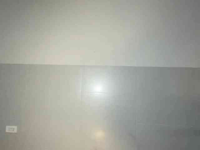 GertudeLagman webcam