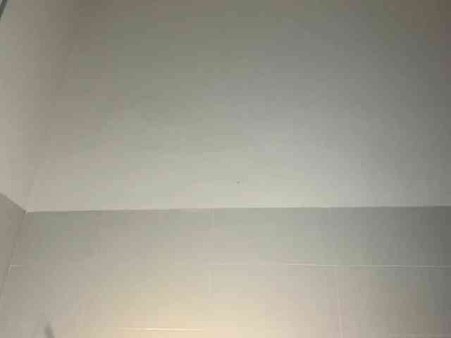 GertudeLagman webcam