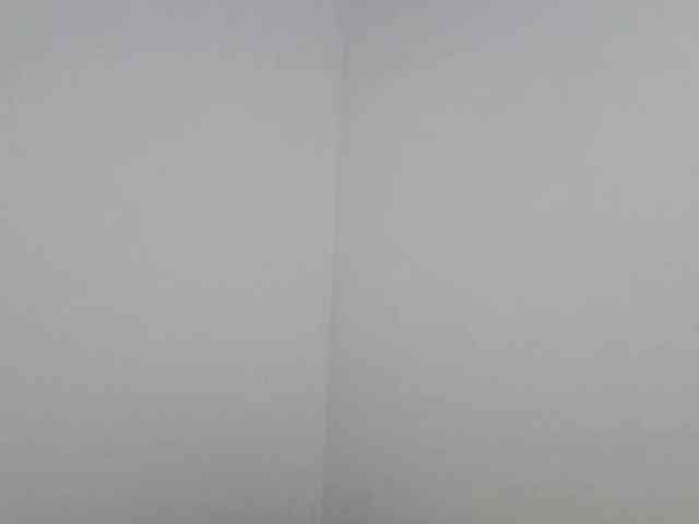 DarcyRojos webcam