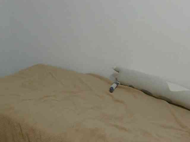 DarcyRojos webcam