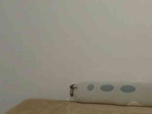 DarcyRojos webcam
