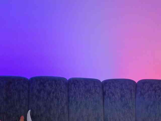 Amara-Rosee webcam