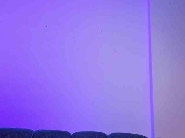 Amara-Rosee webcam