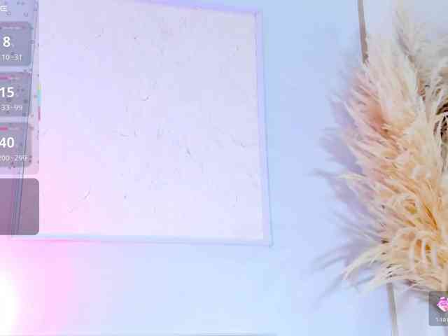 Vittoria-Contii webcam