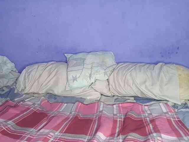 Modelo: Gabriellaysimon