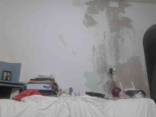 secretsky webcam