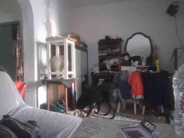 secretsky webcam
