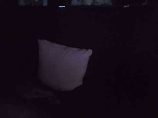 secretsky webcam
