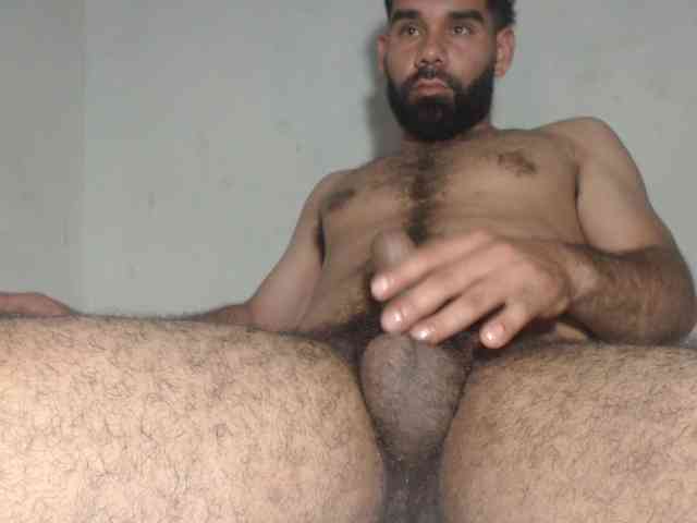 Modelo: barba2027