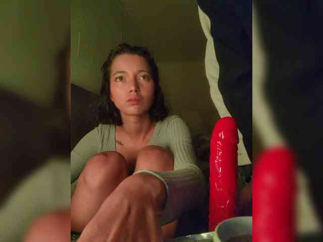 SashaSlevan webcam