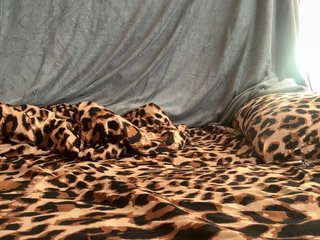 Karina-sex Porn Show