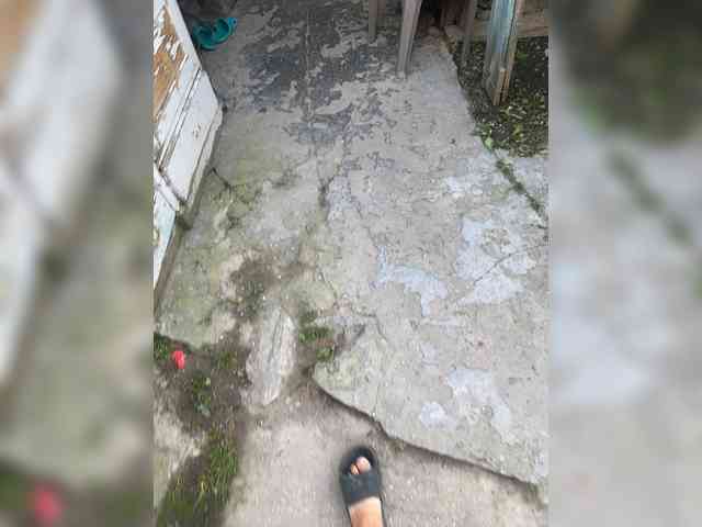 Advjty11