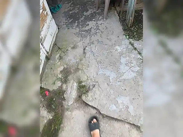 Advjty11