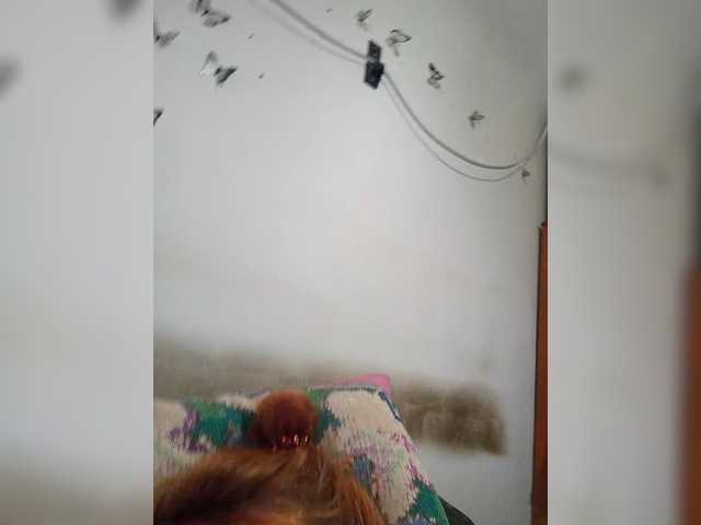 Elijah95, en directo ahora en BongaCams