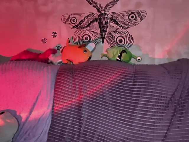 KateNioli live cam on BongaCams