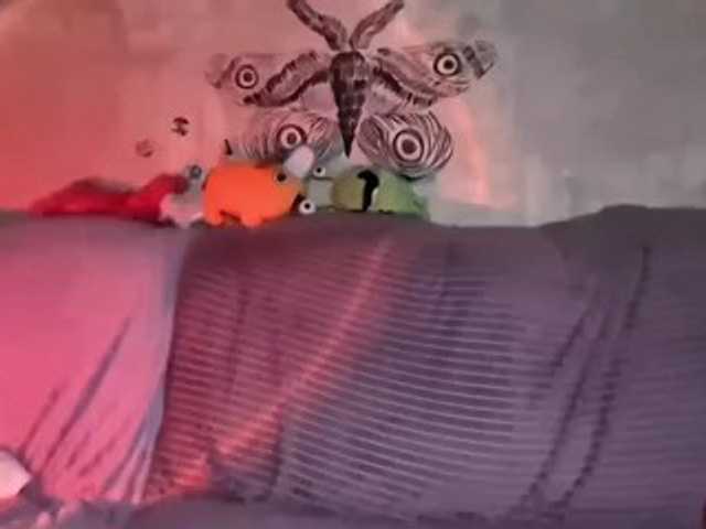 KateNioli live cam on BongaCams