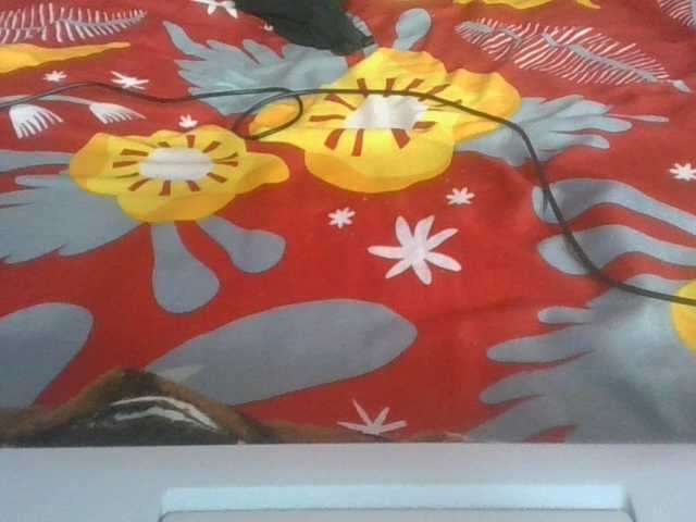 Charlinah live cam on BongaCams