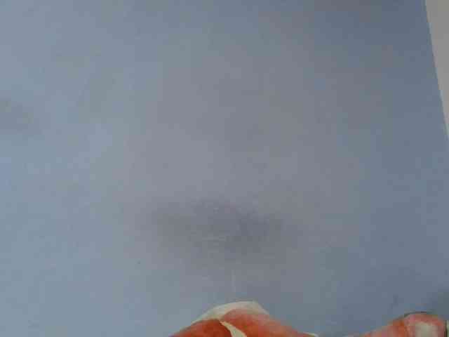 Charlinah webcam