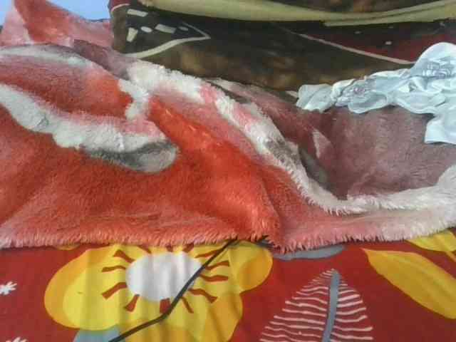 Charlinah webcam
