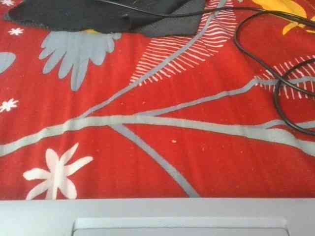 Charlinah webcam