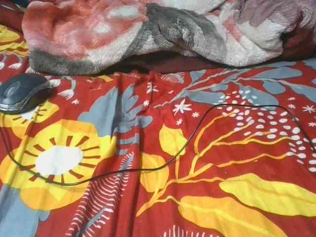Charlinah webcam