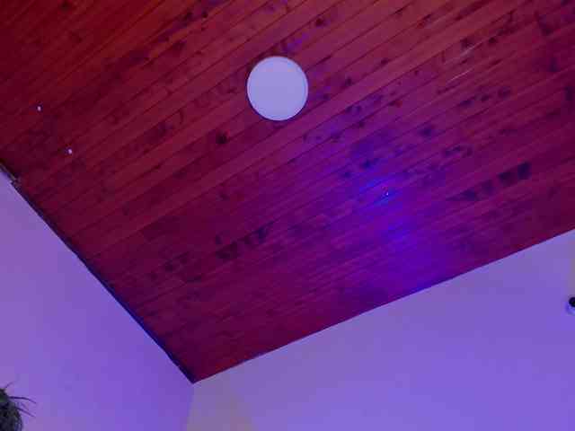 AngelSavagee webcam
