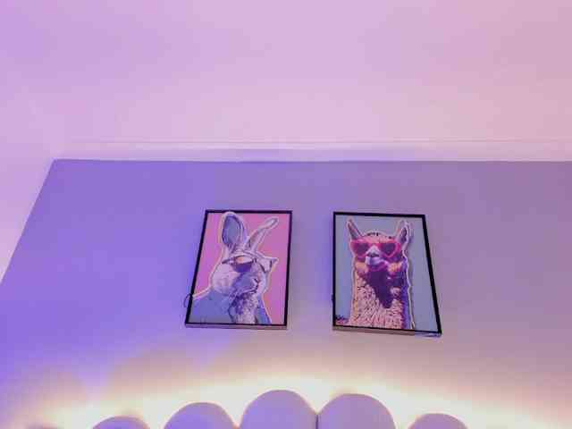 AngelSavagee webcam