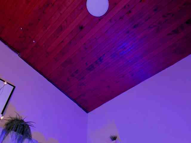 AngelSavagee webcam