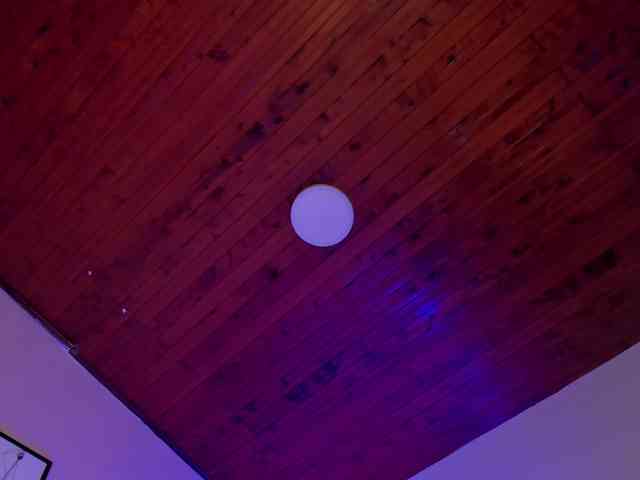 AngelSavagee webcam