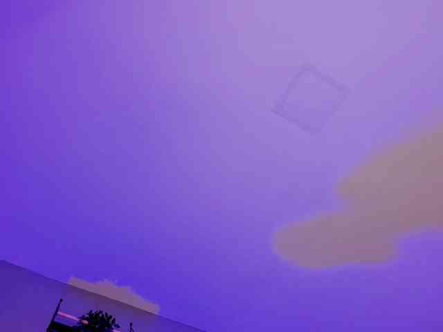 AngelSavagee AngelSavagee