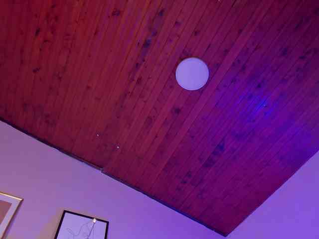AngelSavagee webcam