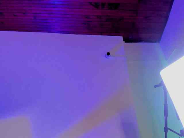AngelSavagee webcam