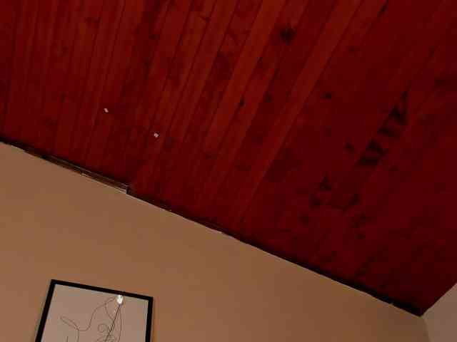 AngelSavagee webcam