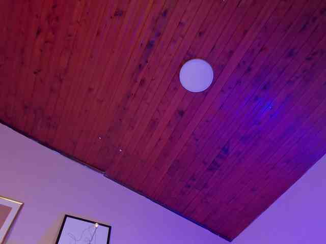AngelSavagee webcam