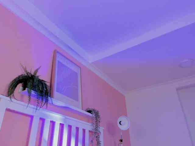 AngelSavagee webcam