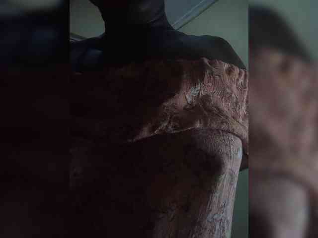 Maryjoy webcam