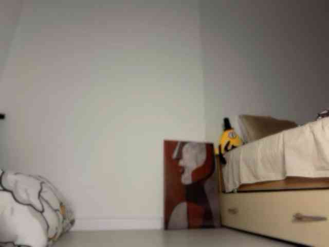 Larast webcam