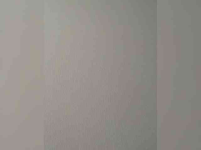 Larast webcam